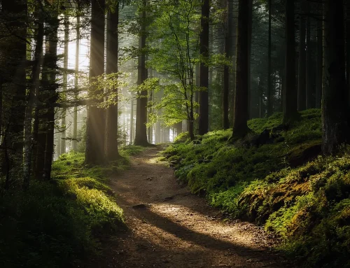 Conceptual Architectural Photography 13 The Beauty of Ardennes