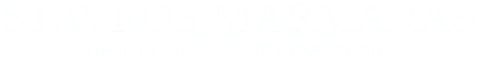 Architecture and Interior 1 Logo