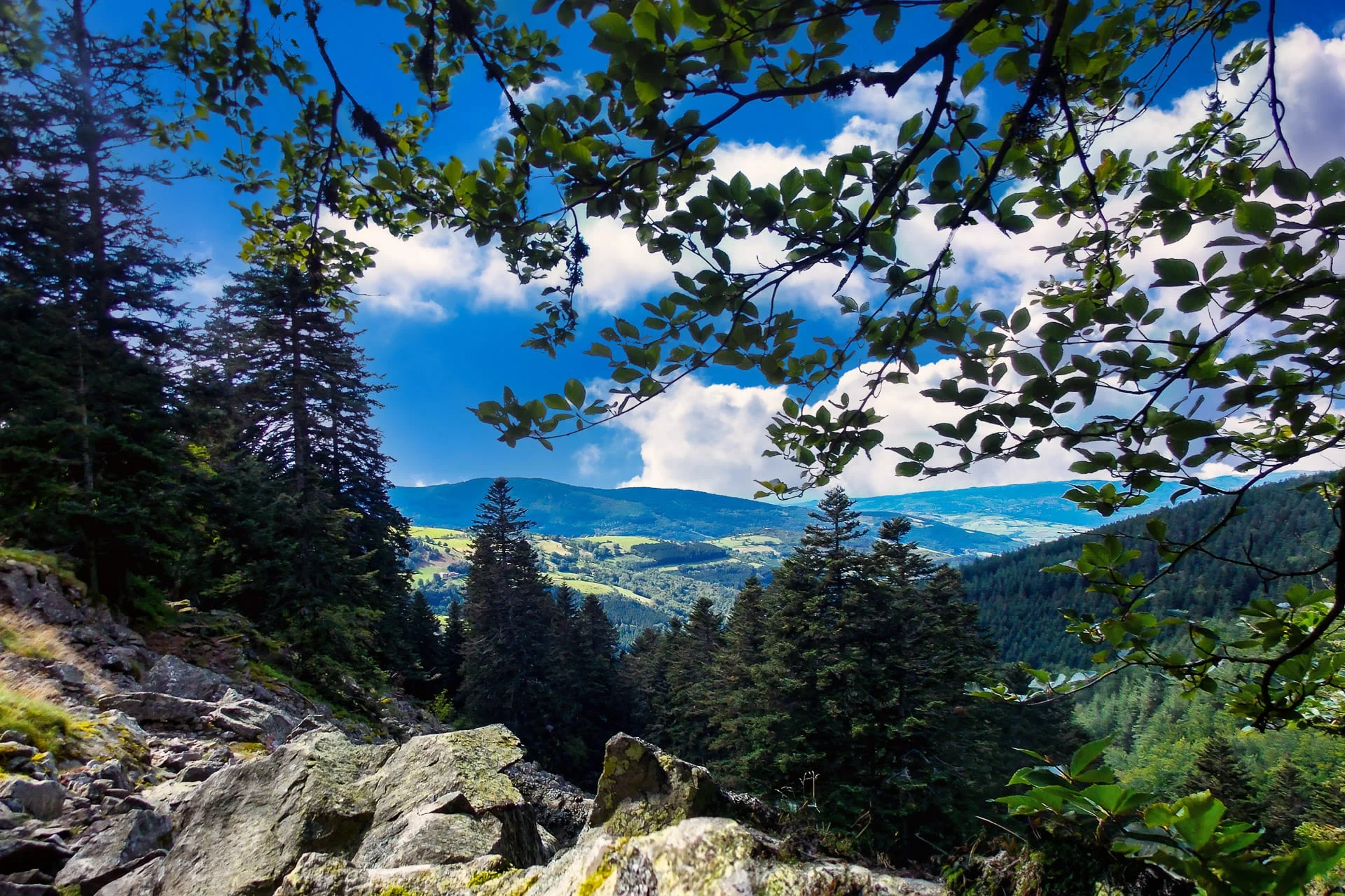 Tips Natural Framing Composition