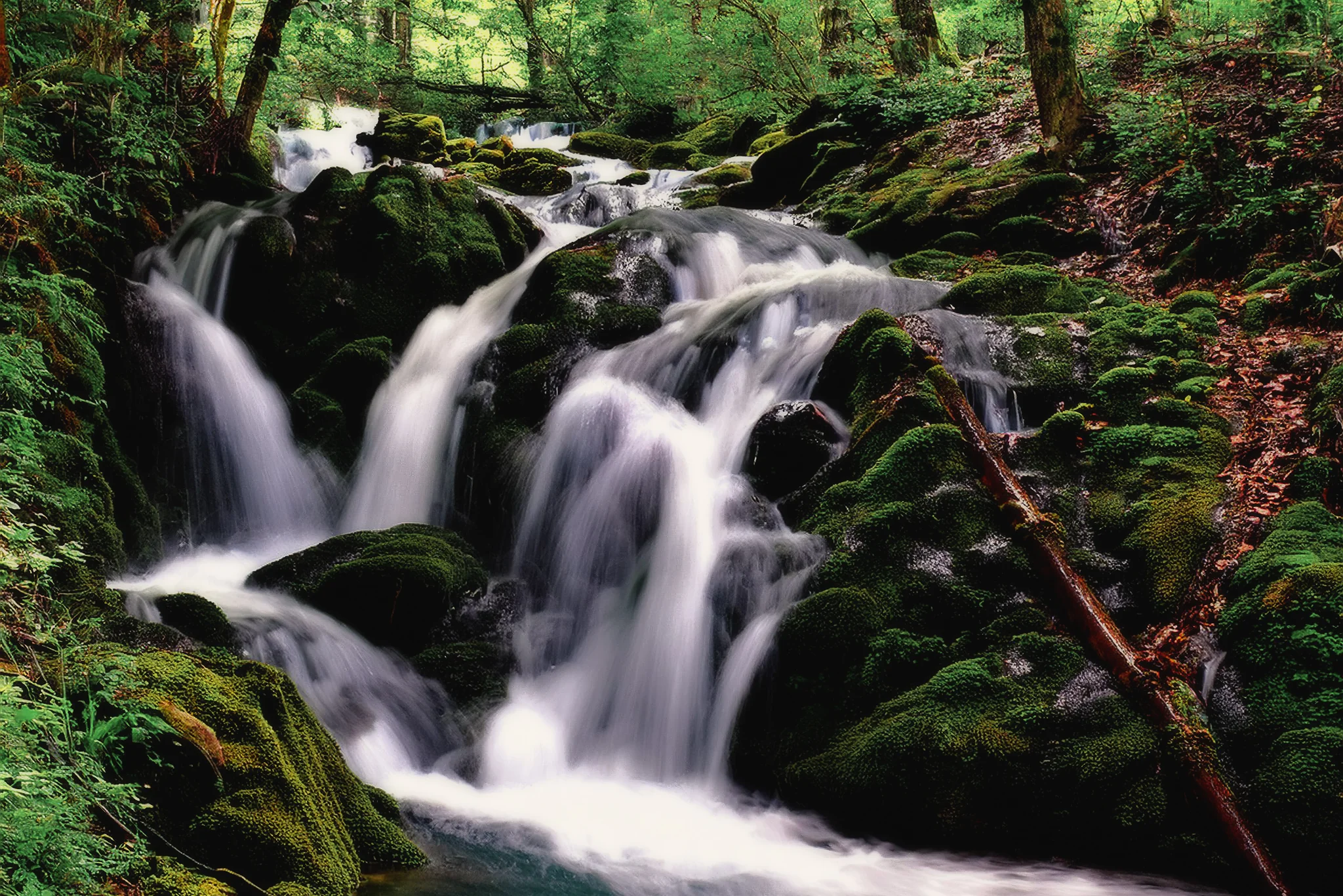 Multi-tier waterfall flowing over mossy boulders in the Ardennes forest