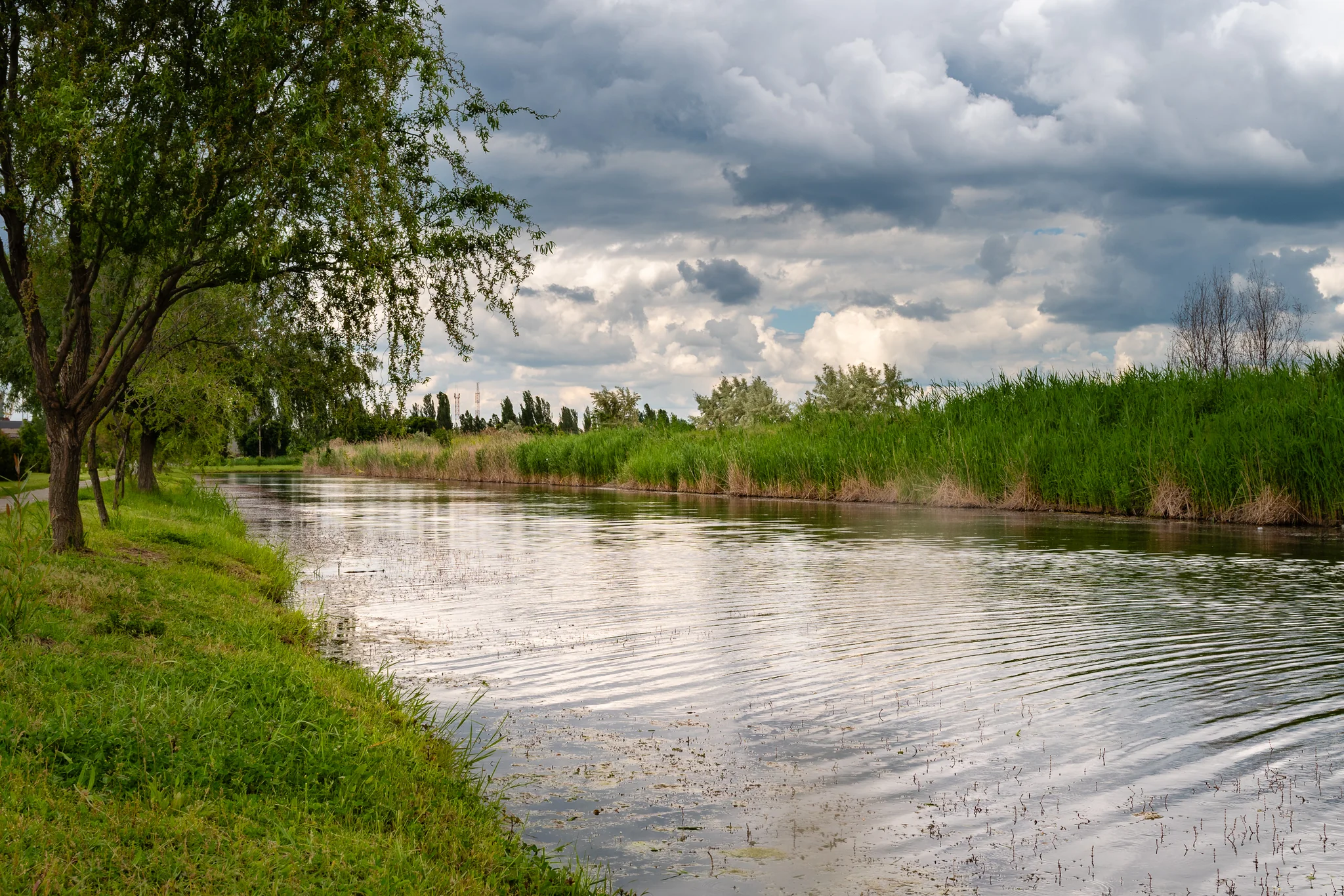Reeds and calm wetland water beneath gathering storm clouds