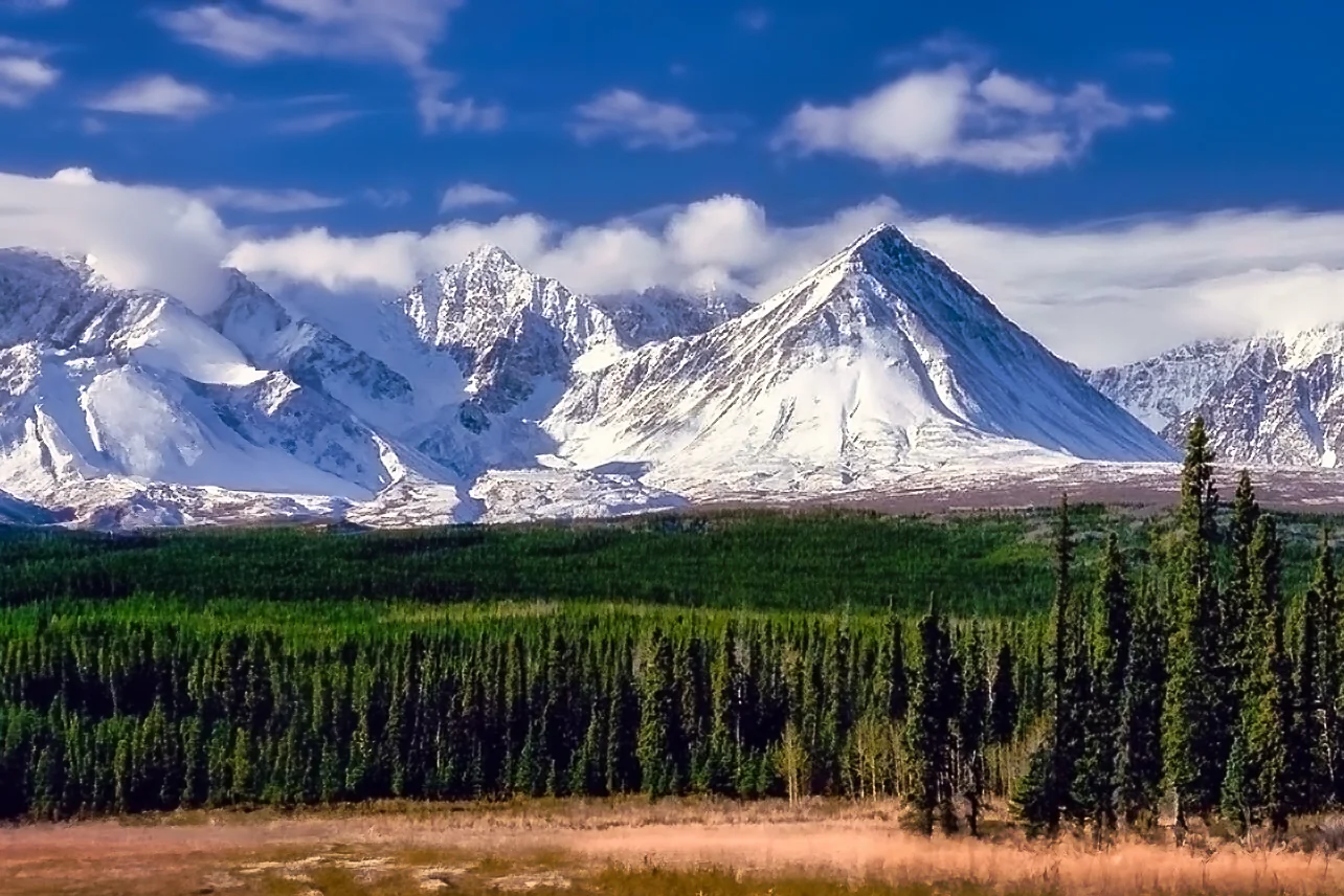 Snow-covered mountain range rising above dense boreal forest