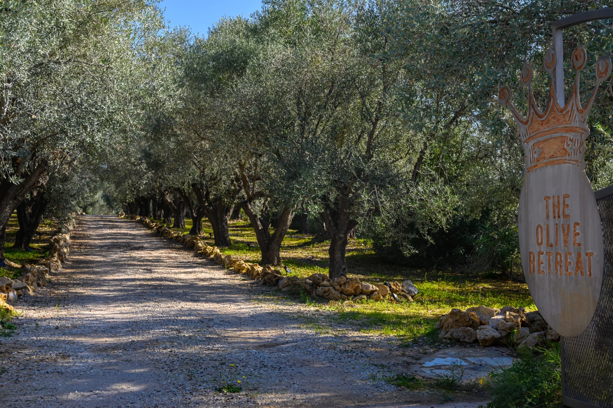 Gravel entrance drive lined with mature olive trees and stone edging, with a wooden sign reading The Olive Retreat beside the gate at The Olive Retreat near Pylos.