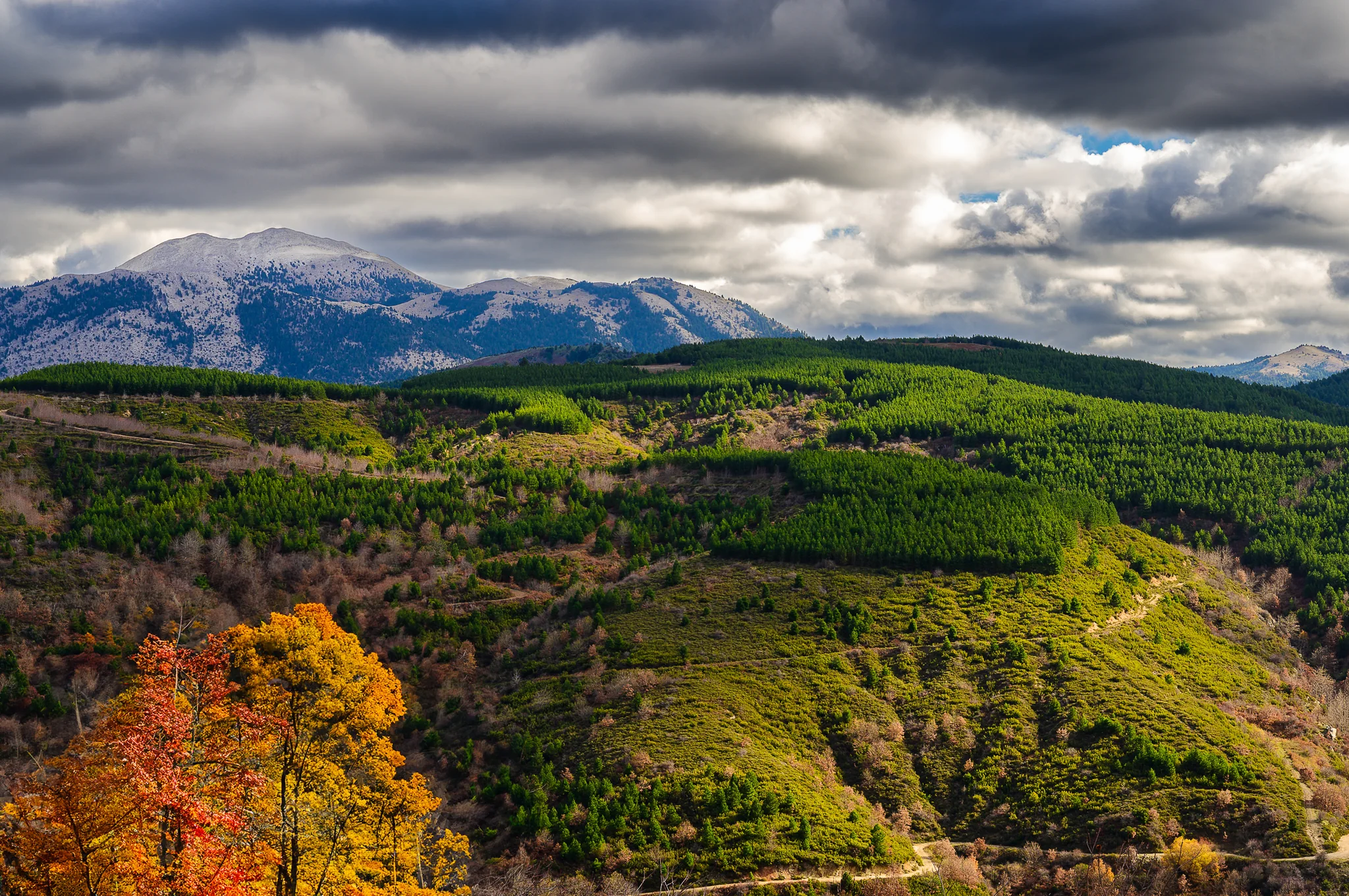 Autumn trees and cultivated slopes beneath a cloud-covered mountain range