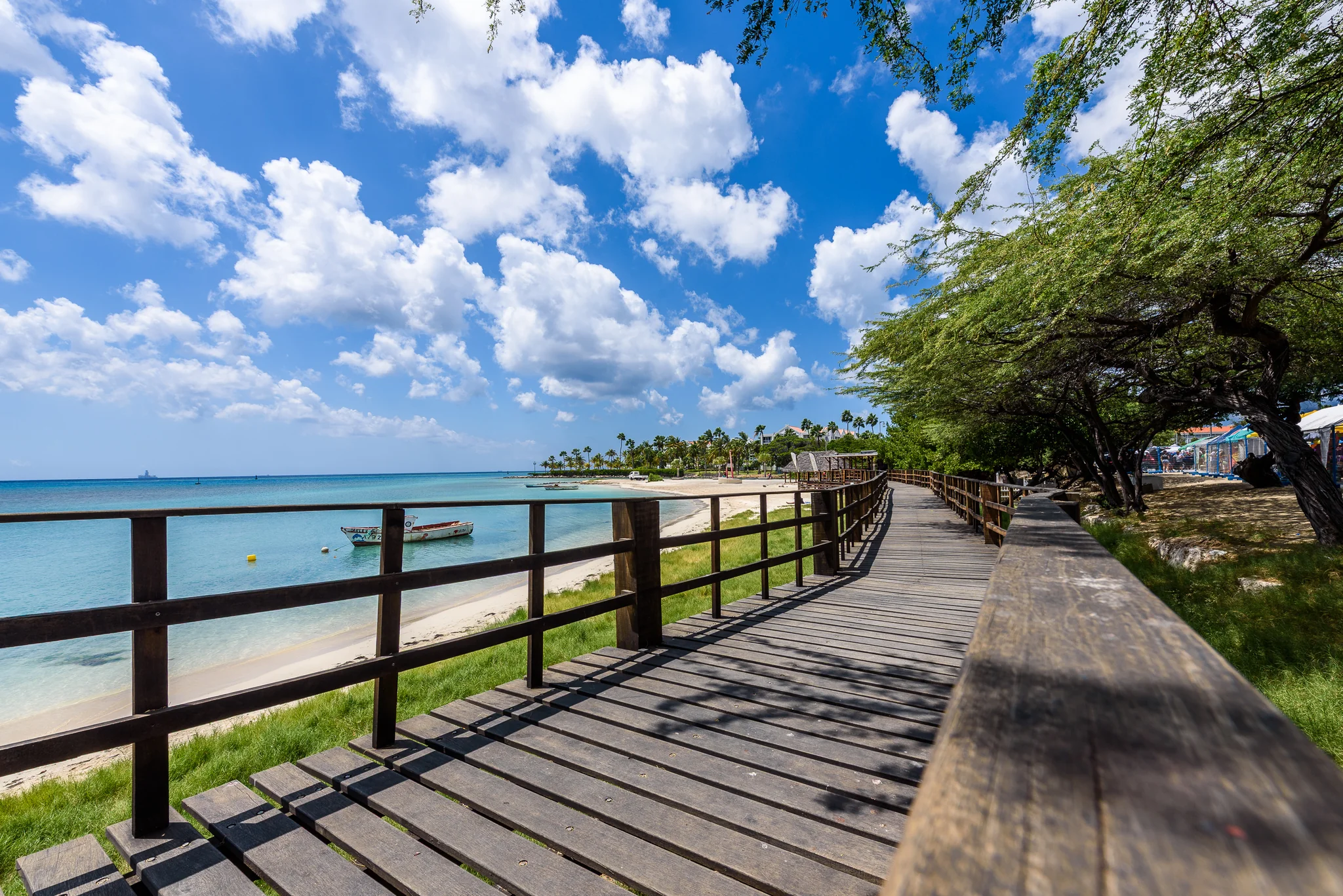 Timber boardwalk following a calm coast beneath large shade trees