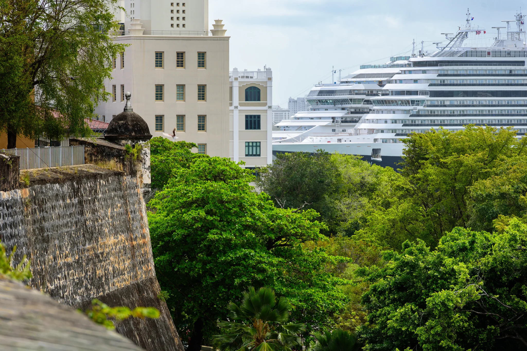 Large cruise ship seen beyond trees and the walls of a historic fort