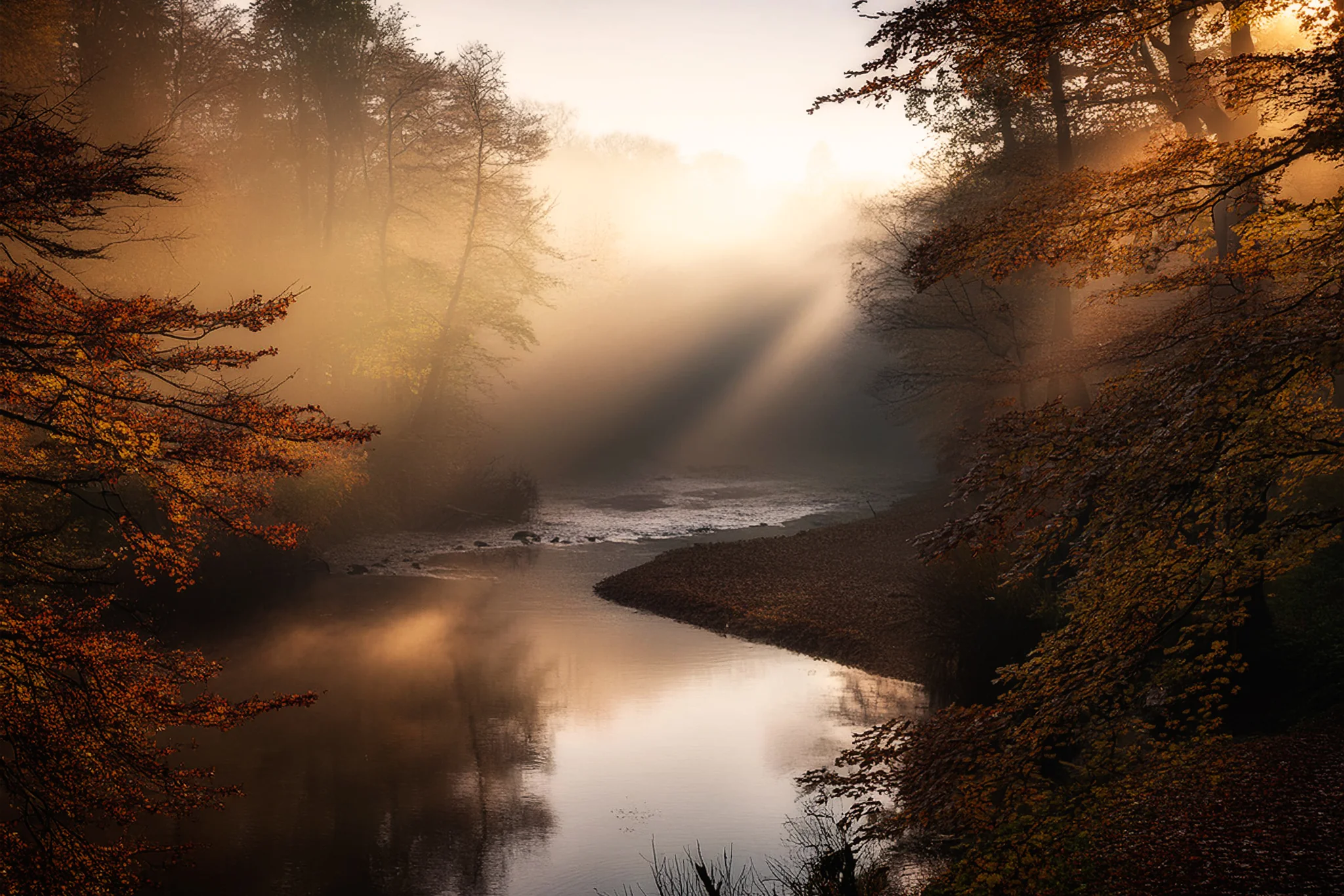 Sunbeams crossing a calm river enclosed by dense forest