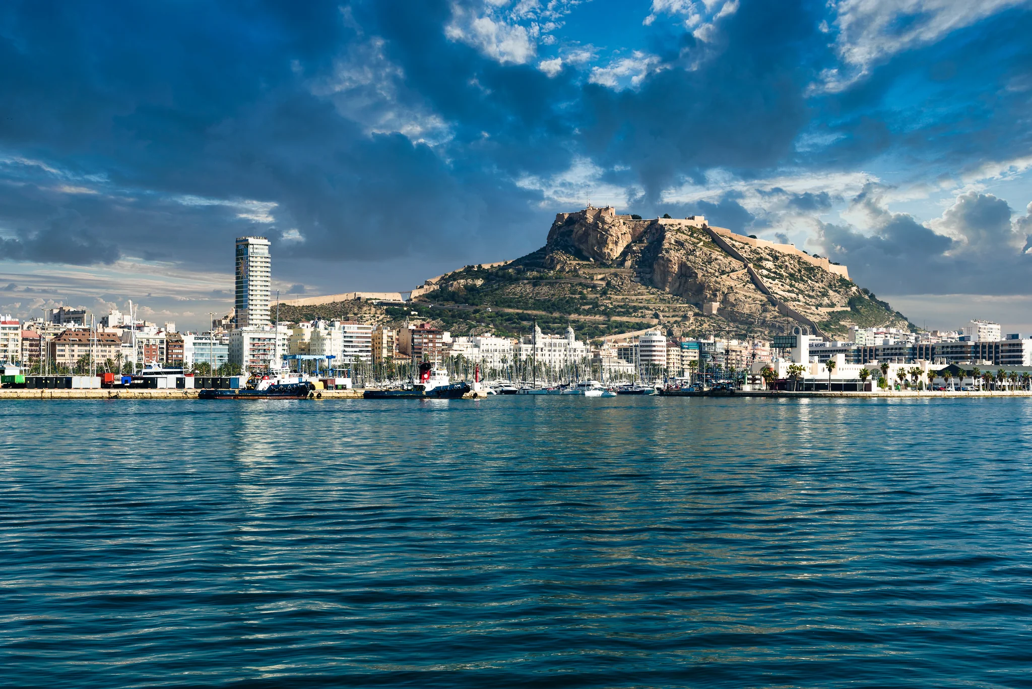 Port city skyline and mountain seen across calm harbor water