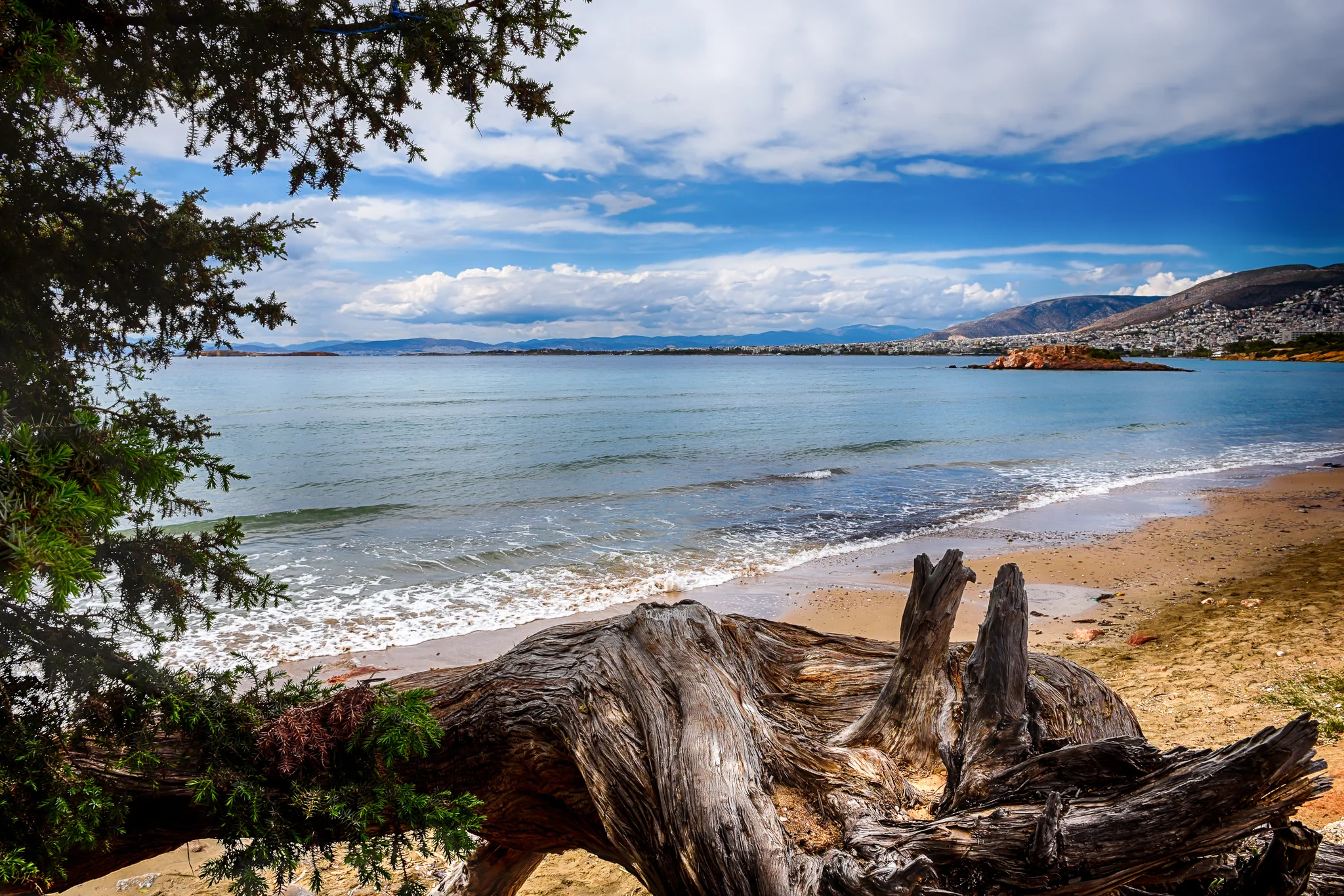 Sandy cove and calm water framed by trees and weathered driftwood