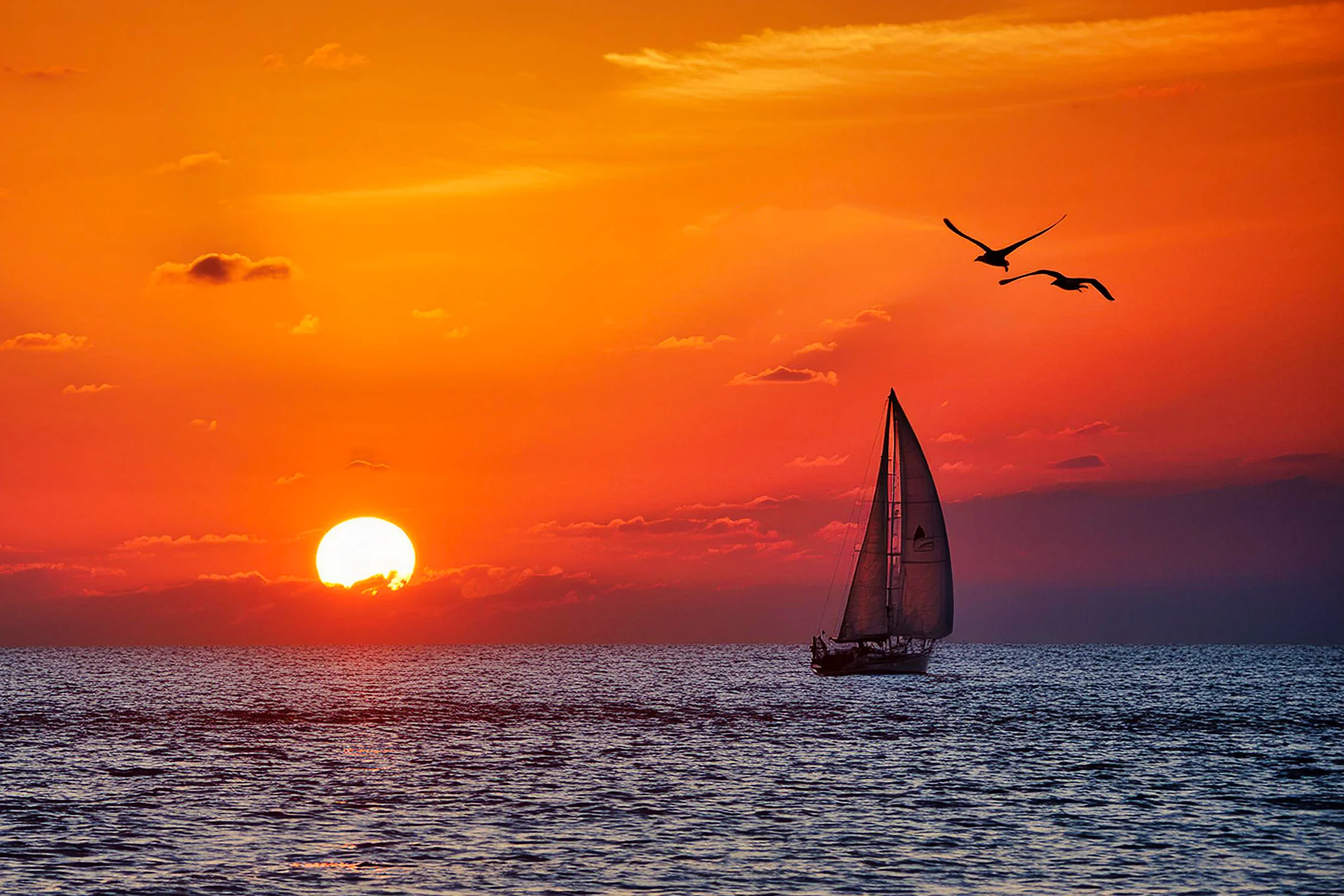 Sailboat and flying seabirds silhouetted against an orange sea sunset