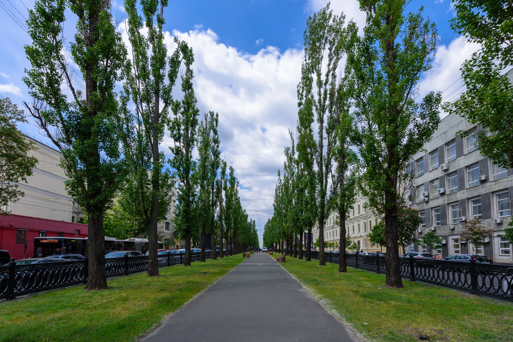 Symmetrical tree-lined city promenade between urban buildings