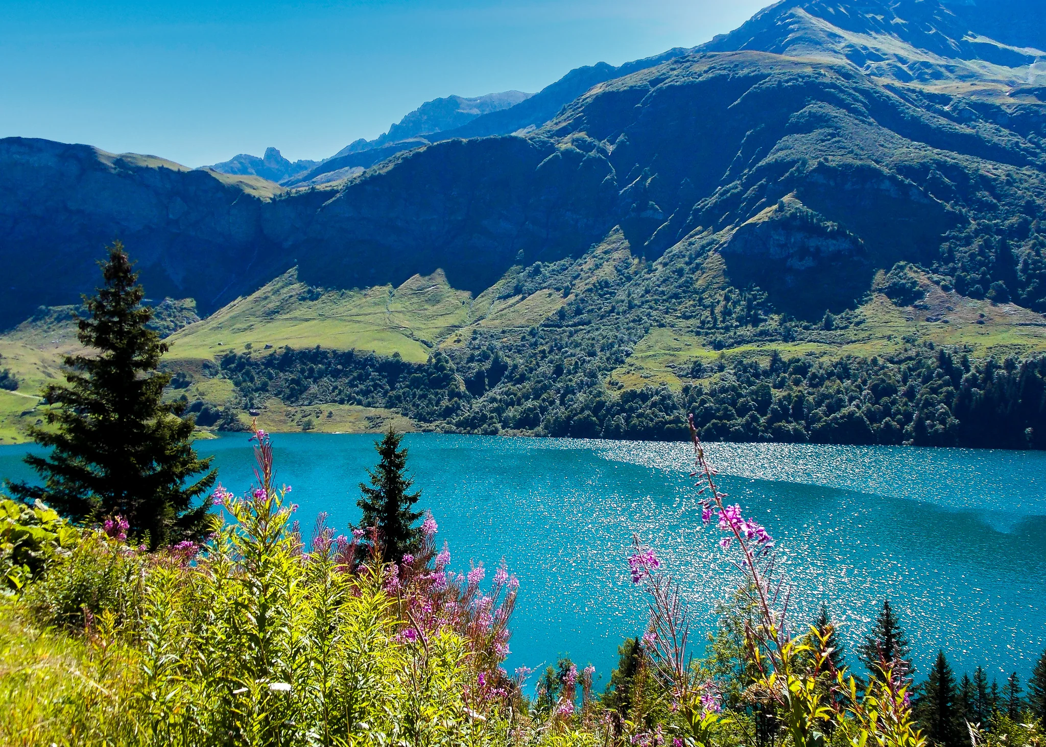 Turquoise alpine lake surrounded by mountain slopes and pink flowers