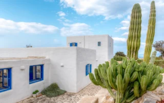 Tall green cacti beside the white walls and blue shutters of Villa Cactus in Paros.