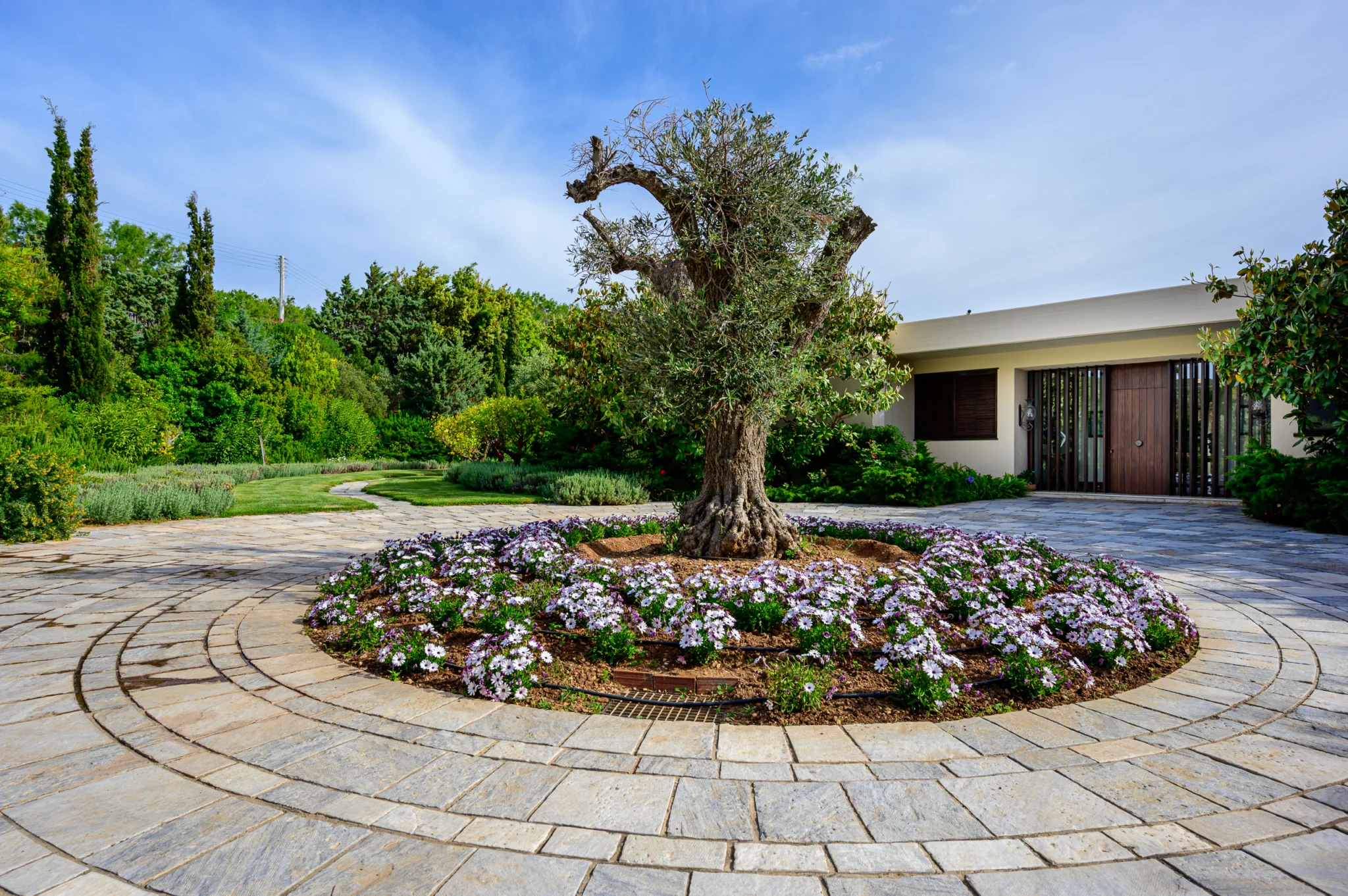 Paved entrance courtyard with an olive tree and flower bed at Villa Icarus.