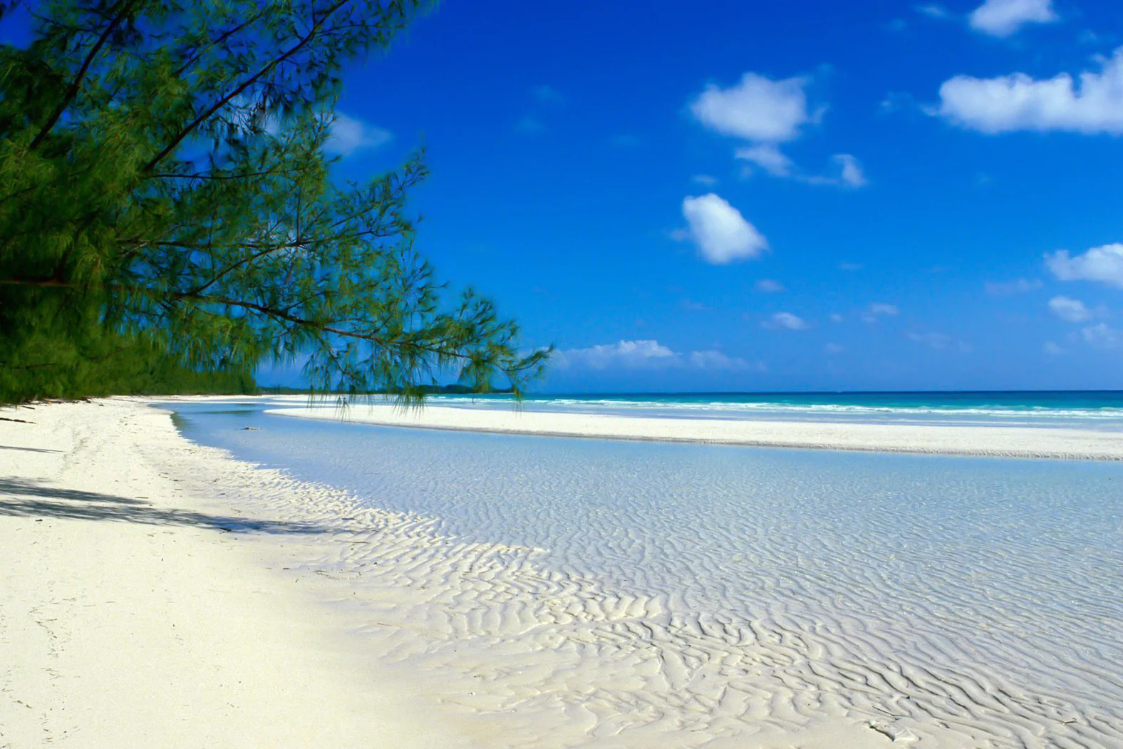 White tropical beach with shallow tidal patterns and overhanging coastal trees